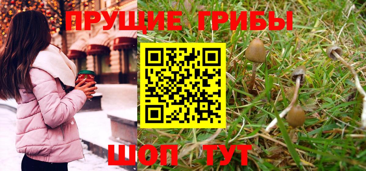 Псилоцибиновые грибы Psilocybine cubensis  Вход с VPN  Коломна 