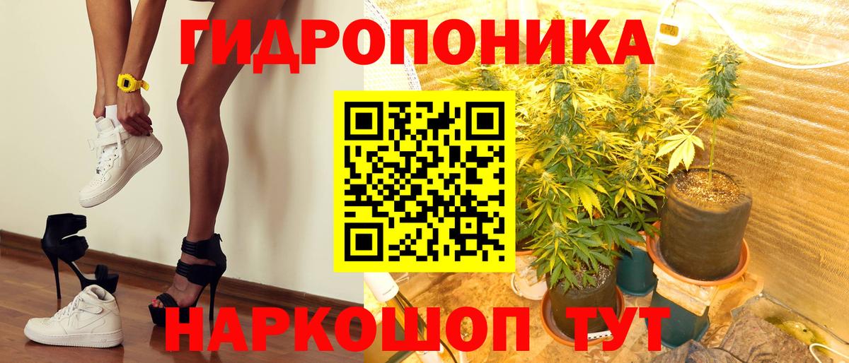 Каннабис план Коломна